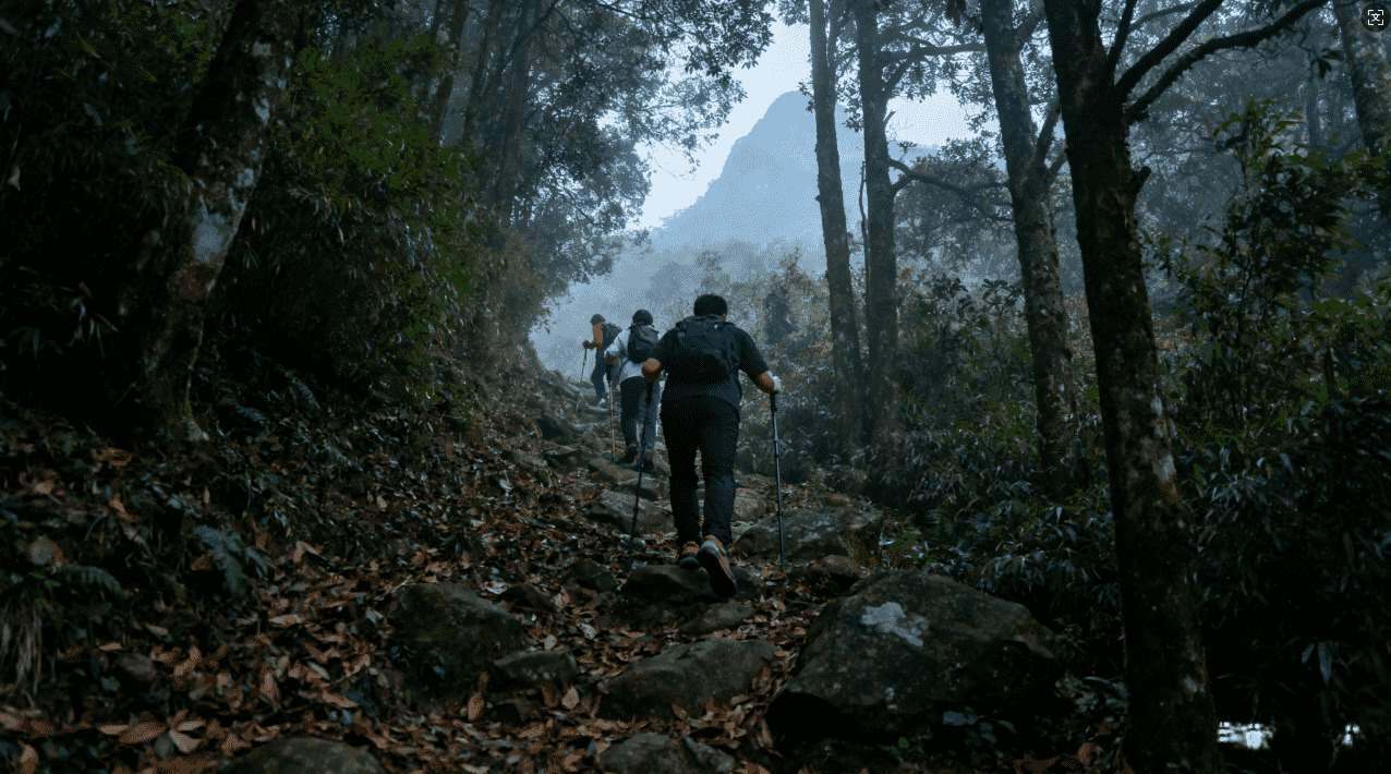 类似雷霆加速器的多功能网络加速应用推荐